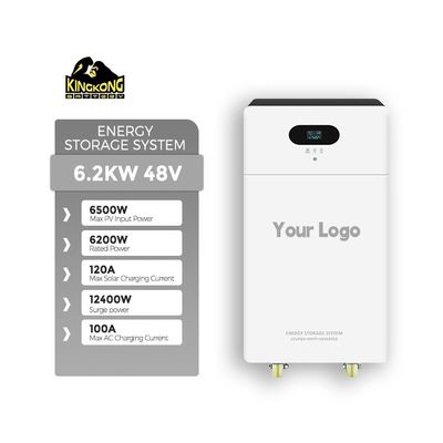 3Inverteur solaire au silicium monocristallin à double sortie de.6 kW avec batterie au lithium de 24 V 100 Ah