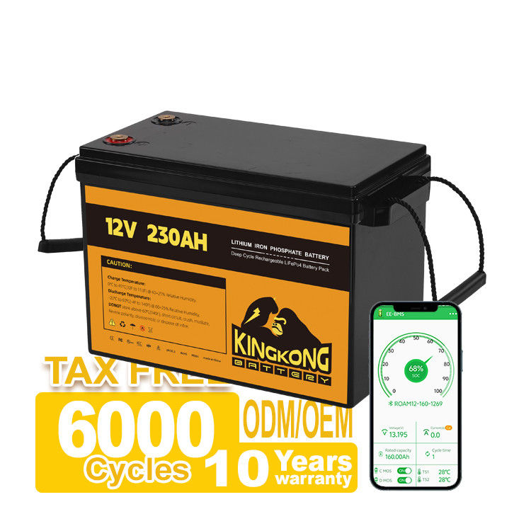 Outils électriques OEM ODM 12,8V 100ah 200ah 300ah batterie au lithium 12V avec contrôle APP