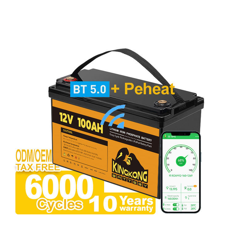110/120/220/230V Voltage de sortie 12,8V 100Ah 200Ah 300Ah LFP batterie au lithium-ion