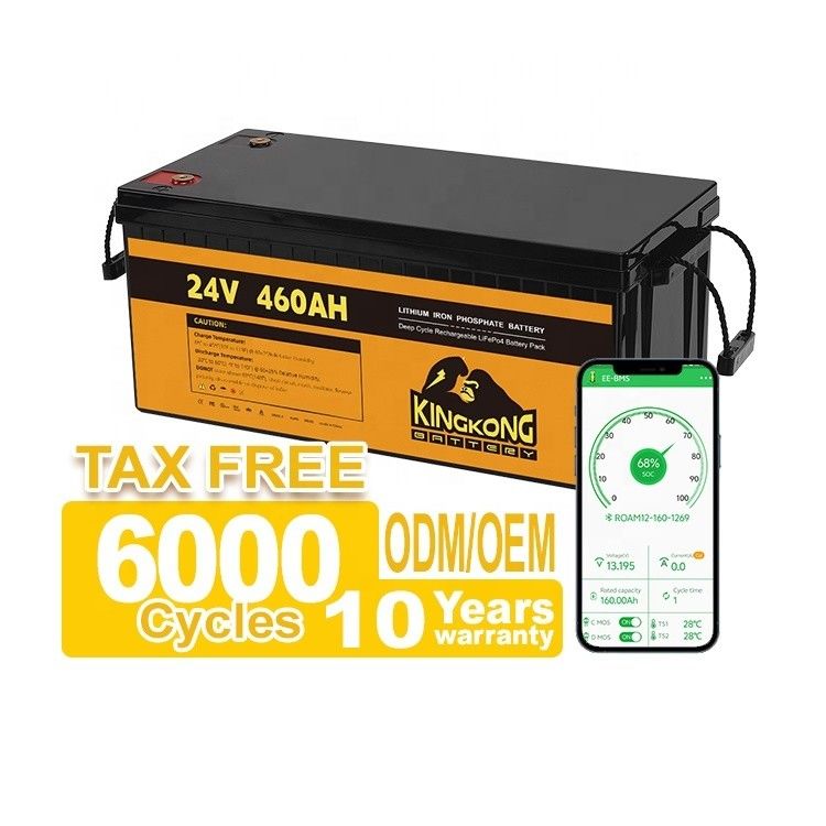 24V 50Ah 60Ah 100Ah 200Ah 230Ah 300Ah 400Ah 460Ah Fer Lithium LifePo4 Batterie avec BMS