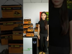 12V 48V 120Ah 150Ah 170Ah 200Ah 300Ah LiFePO4 batterie au lithium pour sous-marins