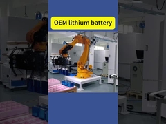 Batterie au lithium OEM