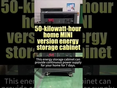 Ce stockage d'énergie domestique élimine le souci des coupures d'électricité à la maison