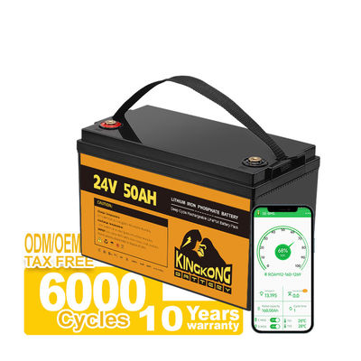 Matériau de l'anode LFP 12 kg 100ah 200ah 300ah 12v 24v 36v batterie au lithium-ion pour véhicules de plaisance